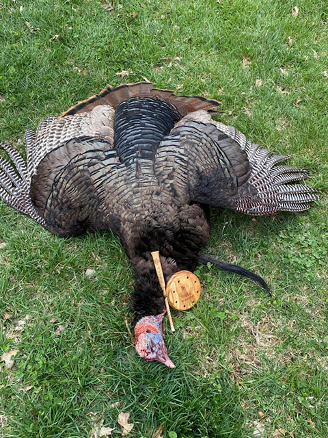 RTD Turkey Calls Gallery Image