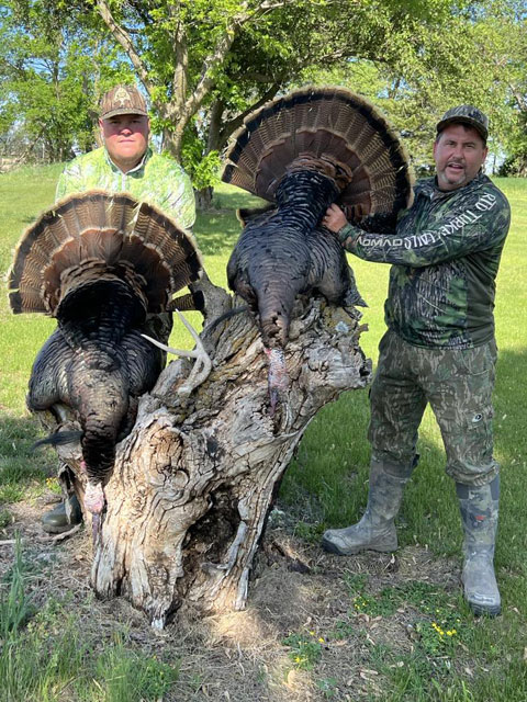 RTD Turkey Calls Gallery Image