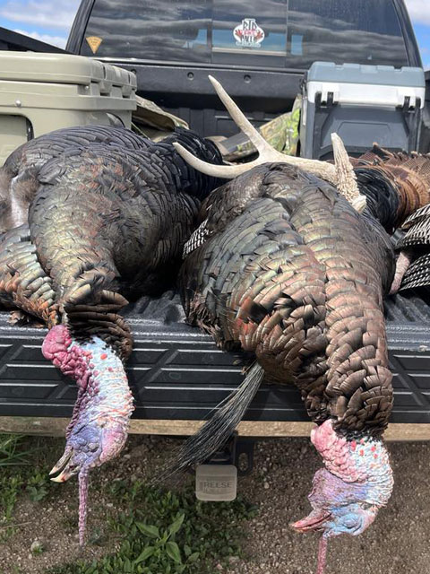 RTD Turkey Calls Gallery Image