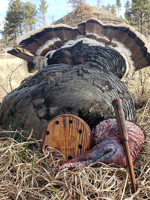RTD Turkey Calls Gallery Image