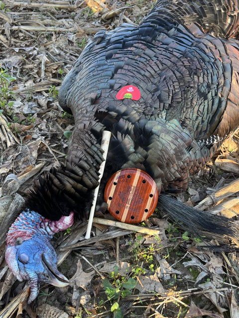 RTD Turkey Calls Gallery Image