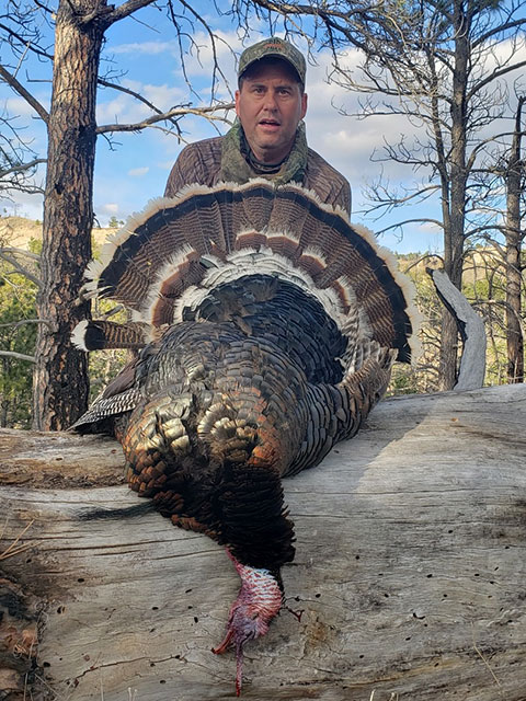 RTD Turkey Calls Gallery Image