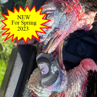 RTD Spring 2023 Split V